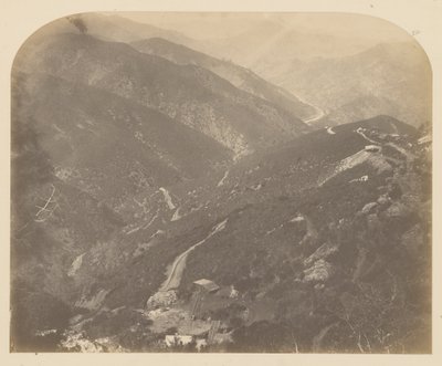 (Josephine und Kiefer) von Carleton E. Watkins